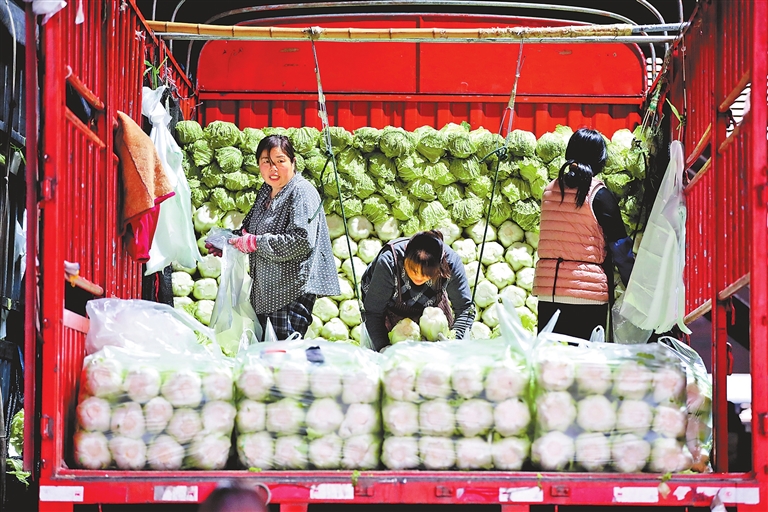 菜價(jià)走高 多措并舉穩(wěn)住百姓“菜籃子”